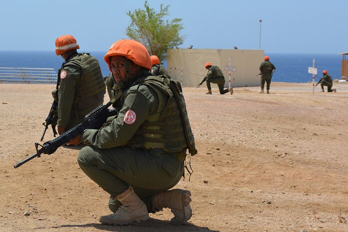 The Republic of Fiji Military Forces and U.S. Soldiers supporting the Multinational Force and Observers peace-keeping security drills during a mass casualty exercise on MFO-South Camp June 28, 2016  

