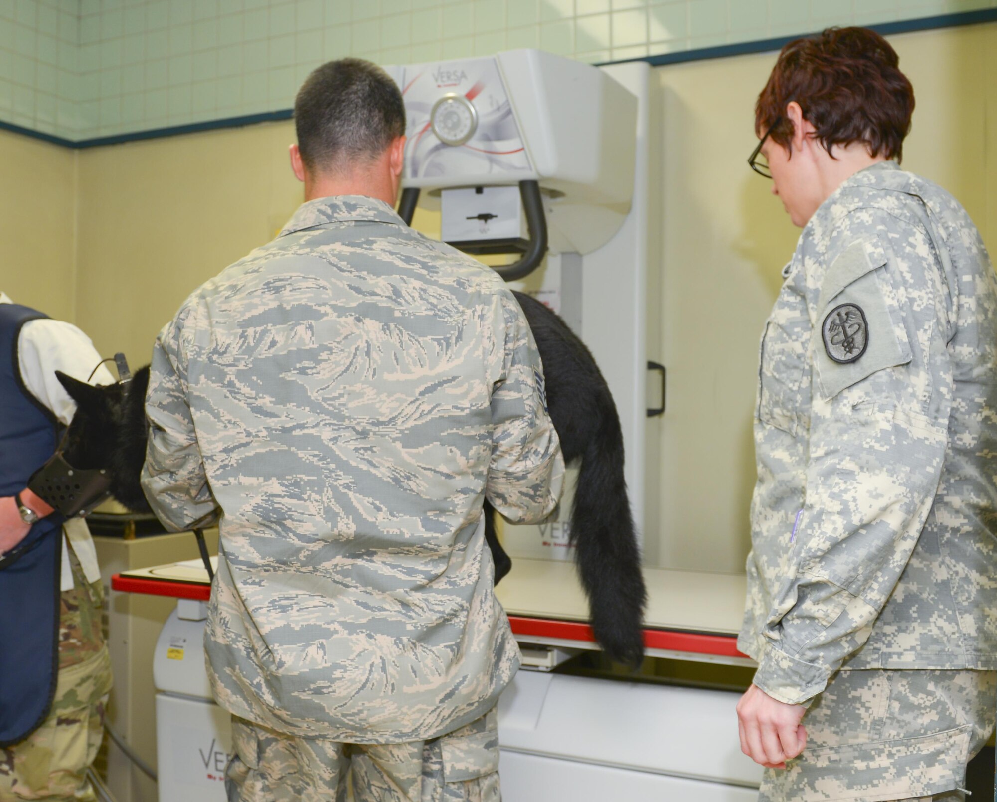 Staff Sgt. Daniel De Leon, 374th Security Forces Squadron military working dog trainer, carries Stella, 374 SFS MWD, to an X-ray table under the direction of U.S. Army Capt. Amanda Hauck, Public Health Command District Japan officer in charge of the Yokota branch, at Yokota Air Base, Japan, July 22, 2016. The Yokota Veterinary Clinic is staffed and equipped to provide top-notch medical services for the 374 SFS MWDs, including on-scene emergency medical response, hospitalization and a full range of diagnostic and treatment procedures. (U.S. Air Force photo by Airman 1st Class Elizabeth Baker/Released)