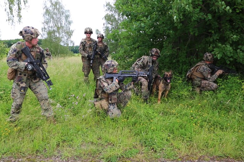 A French Army dog handler and U.S. Marines with Charlie company, 1st Battalion 8th Marine Regiment, Special Purpose Marine Air-Ground Task Force-Crisis Response-Africa observe enemy activity during a combined arms attack aboard Camp Sissonne, France, June 21, 2016. CENZUB provided SPMAGTF-CR-AF Marines with the ability to maintain their proficiencies in urban combat and integrate with French personnel and assets in a realistic scenario. (U.S. Marine Corps photo by Sgt. Kassie McDole/Released.)