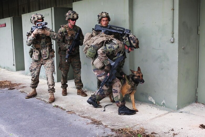 A French Army dog handler and U.S. Marines with Charlie company, 1st Battalion 8th Marine Regiment, Special Purpose Marine Air-Ground Task Force-Crisis Response-Africa prepare to breach and clear a building during a combined arms attack aboard Camp Sissonne, France, June 21, 2016. During CENZUB training SPMAGTF-CR-AF Marines had the opportunity to work in cooperation with company of French Army soldiers, integrating their skills and resources including weaponry and military vehicles to form an effective battle plan, similar to what they may face in the event of a future crisis. (U.S. Marine Corps photo by Sgt. Kassie McDole/Released.) 
