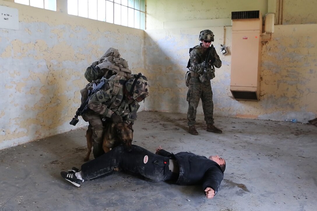 A U.S. Marine with Charlie company, 1st Battalion 8th Marine Regiment, Special Purpose Marine Air-Ground Task Force-Crisis Response-Africa provdie security for French Army soldiers with the 34th Infantry Regiment during a combined arms attack aboard Camp Sissonne, France, June 21, 2016. During CENZUB training, SPMAGTF-CR-AF Marines had the opportunity to work in cooperation with company of French Army soldiers, integrating their skills and resources including weaponry and military vehicles to form an effective battle plan, similar to what they may face in the event of a future crisis. (U.S. Marine Corps photo by Sgt. Kassie McDole/Released.)