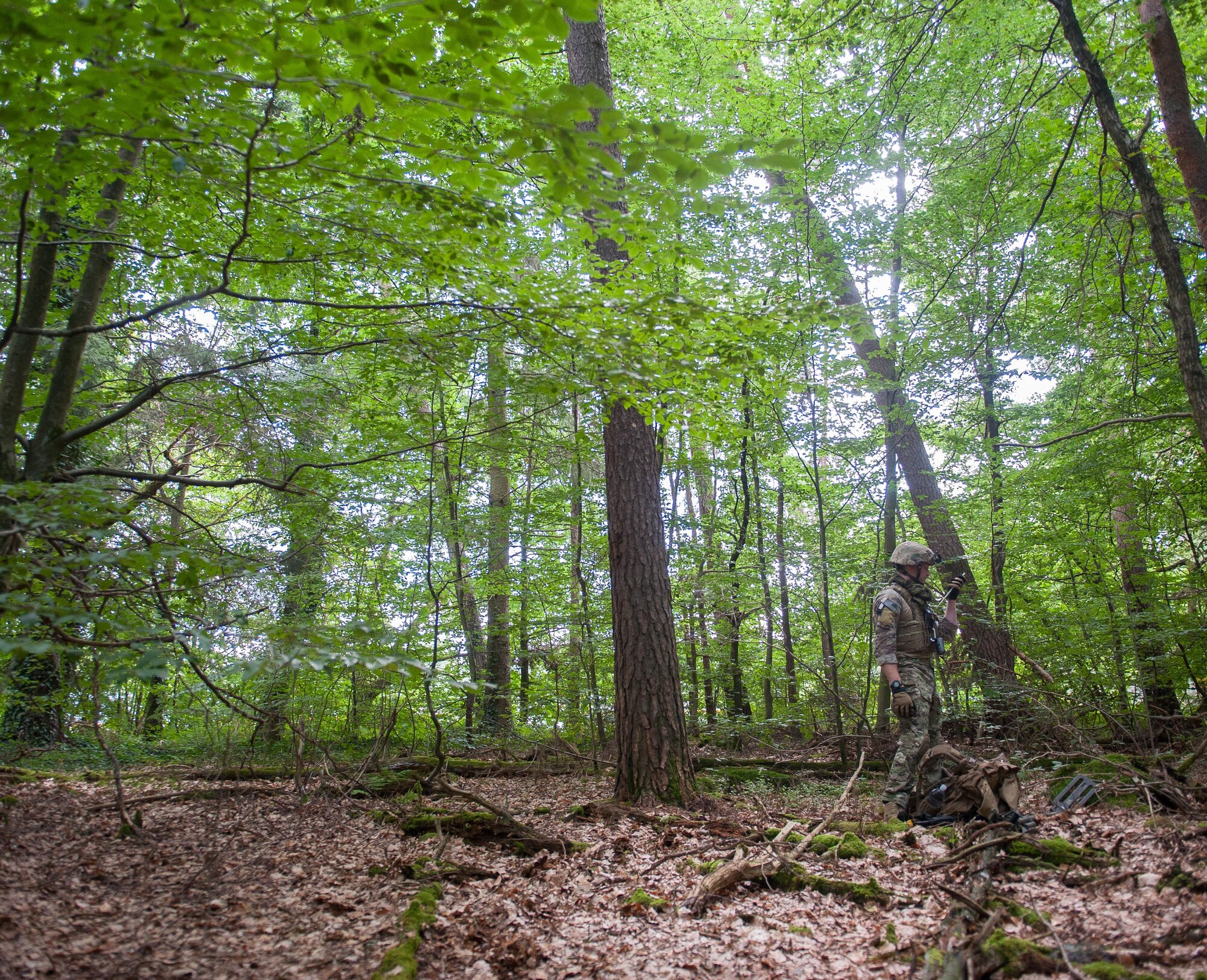 Staff Sgt. Andrew Trelly, 786th Civil Engineering Squadron explosive ordnance disposal technician, observes terrain as he navigates through a forest to find improvised explosive devices July 26, 2016, at Ramstein Air Base, Germany. Trelly participated in a field training exercise for EOD Airmen, a week-long event where EOD Airmen stay up to date on their job and maintain mission readiness. (U.S. Air force photo/Airman 1st Class Lane T. Plummer)