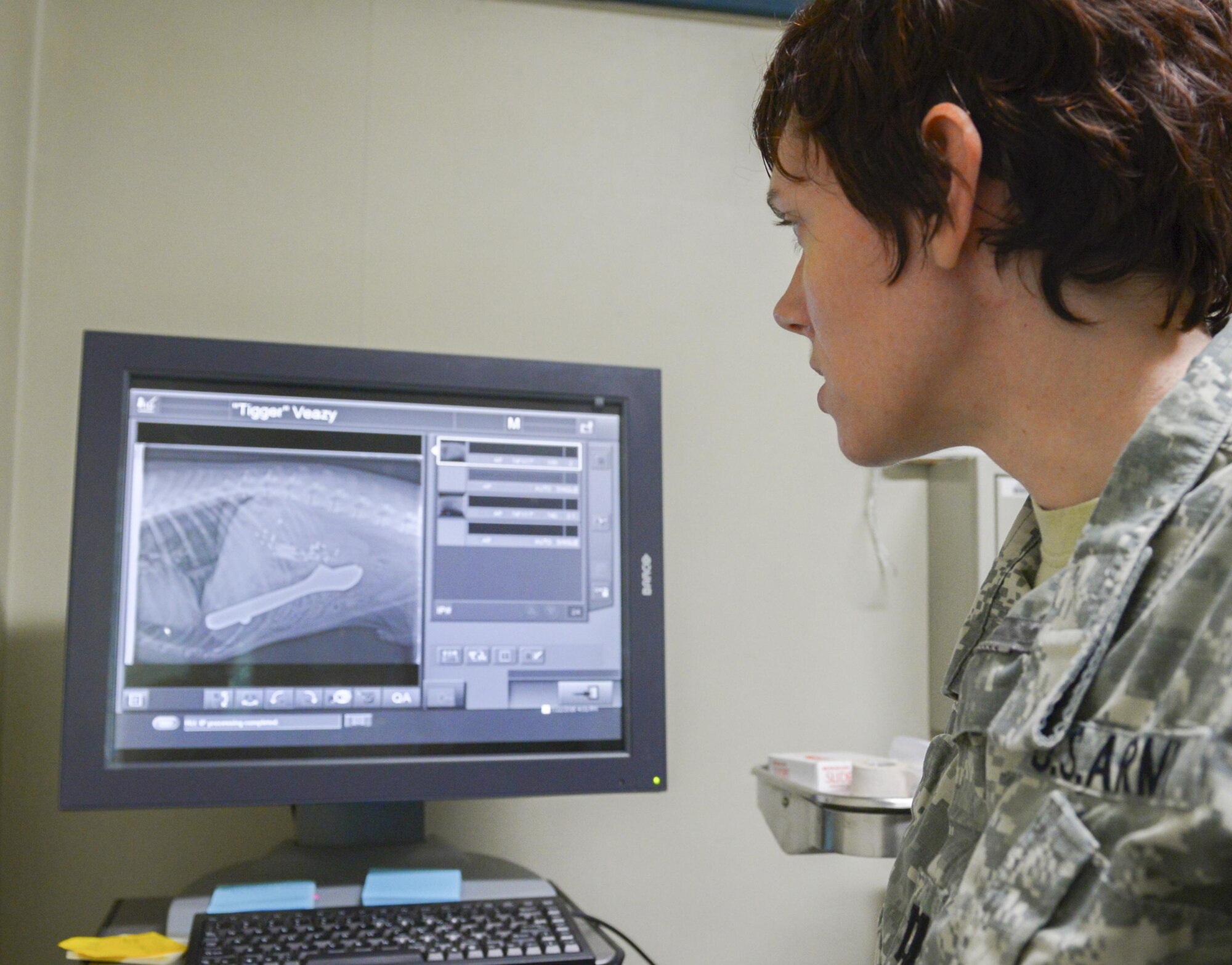 Capt. Amanda Hauck, Public Health Command District Japan officer in charge of the Yokota branch, examines a canine X-ray showing a wrench, screws and other items in patient’s stomach at Yokota Air Base, Japan, July 22, 2016. Tigger, a privately owned golden retriever, underwent surgery to remove the items that he ate and is recovering without complication. While the Yokota veterinary clinic’s primary mission is to keep the 374th Security Forces Squadron military working dogs in good health, they also provide medical services for Yokota’s privately owned pets. (U.S. Air Force photo by Airman 1st Class Elizabeth Baker/Released)