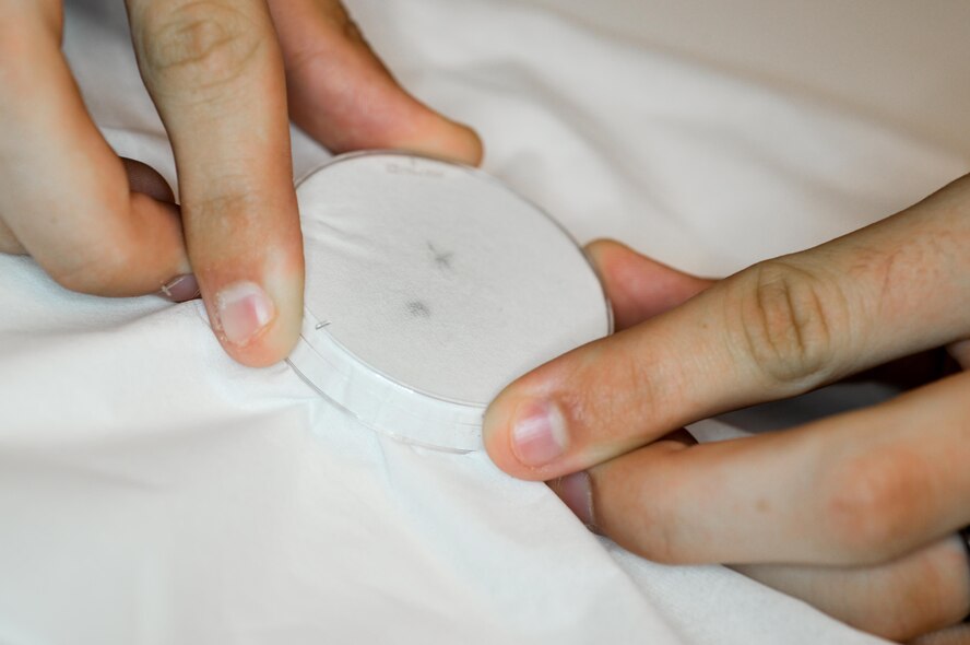 Airman 1st Class Cody Moss, 2nd Aerospace Medicine Squadron public health technician, prepares a specimen shipment for analysis at Barksdale Air Force Base, La., June 1, 2016. Shipped specimens were sent to Wright-Patterson Air Force Base in Ohio, for species identification and disease testing. Entomologists look for a spectrum of illnesses such as malaria, yellow fever, west Nile virus, dengue fever, Zika virus and other viruses. (U.S. Air Force photo/Senior Airman Mozer O. Da Cunha)