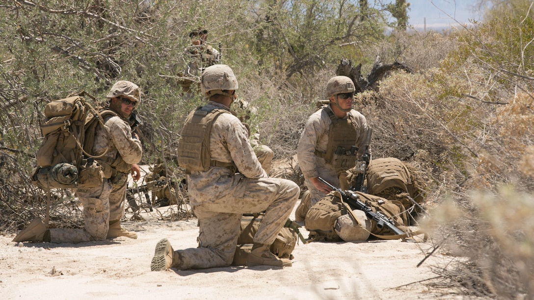 Scout snipers with 2nd Battalion, 8th Marine Regiment, wait for extraction during Integrated Training Exercise 3-16, outside of the Combat Ville training area aboard Marine Corps Air Station Yuma, Ariz., May 29, 2016. 
