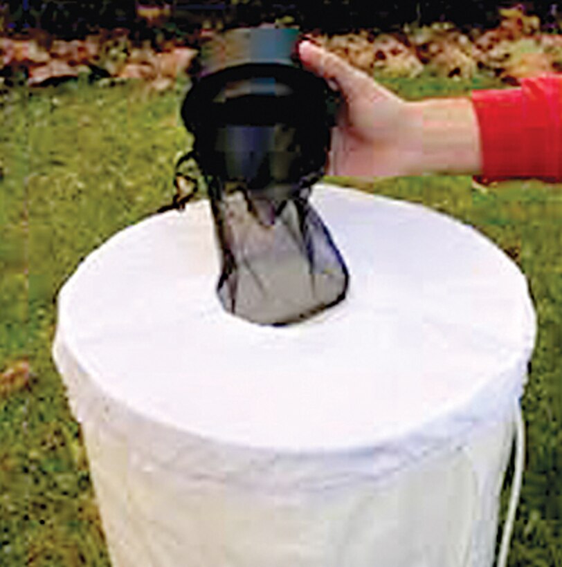 Each mosquito trap has the potential to attract various ­species of mosquitoes. Each species can carry a different virus.