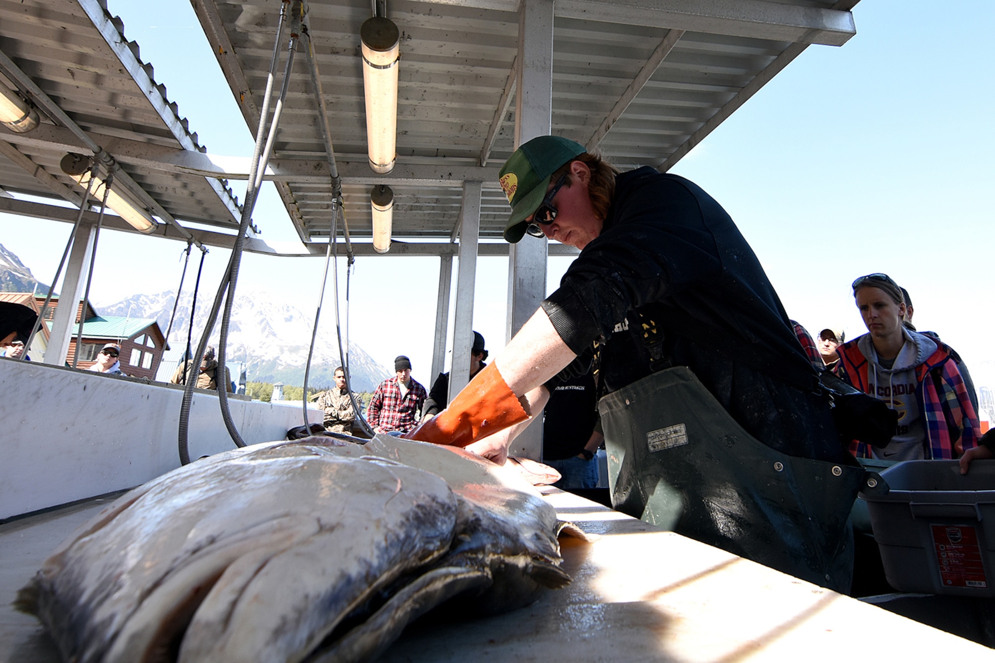 Volunteer deck hand Kyle Collins goes to work filleting a large halibut caught during the 10th Annual Armed Services Combat Fishing Tournament in Seward, Alaska, May 26. The tournament, hosted by the city of Seward and the Armed Services YMCA, gave more than 200 military anglers stationed in Alaska a free day of halibut fishing to thank them for their service. (U.S. Army photo by John Pennell)