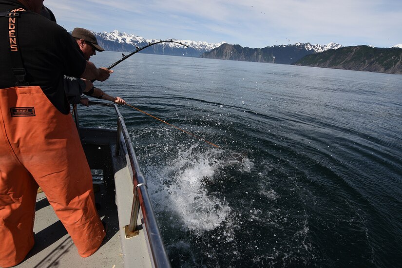 Snowbird Captain Peter Waterman holds tight to the harpoon rope connected to Air Force Staff Sgt. Devin Leabo’s 98-pound halibut in the 10th Annual Armed Services Combat Fishing Tournament May 26. The tournament, hosted by the city of Seward and the Armed Services YMCA, gave more than 200 military anglers stationed in Alaska a free day of halibut fishing to thank them for their service. (U.S. Army photo by John Pennell)