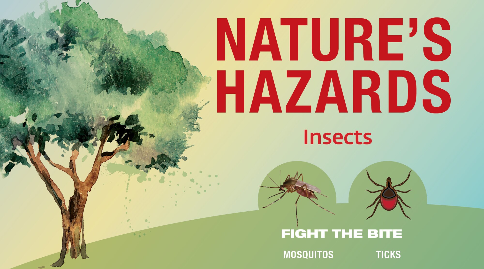 Nature's Hazards - web banner - insects