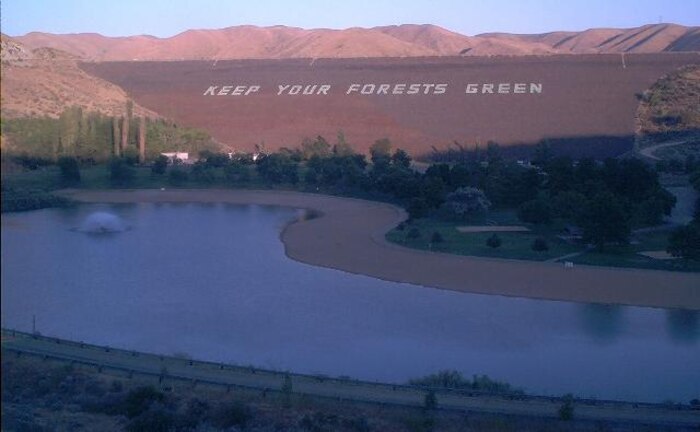 Keep Your Forests Green