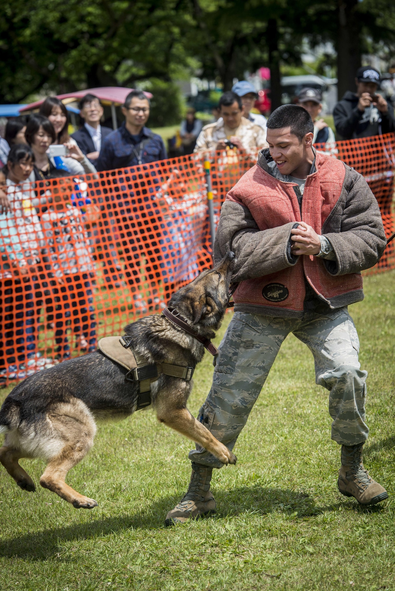 U.S. Air Force Senior Airman Juan Gamboa, a patrolman with the 35th Security Forces Squadron, braces for contact as a military working dog takes him down during a MWD capabilities demonstration as part of the 28th Annual American Day in Misawa City, Japan, June 5, 2016. Showcasing the region’s bilateral partnership among U.S. military and Japanese residents, more than 80,000 annual attendees interacted with volunteers from private base organizations at various American-based food booths sharing a taste of home. Americans and Japanese residents also participated in activities such as a family fun run, an American-themed parade, sports tournaments, street performances and a haunted house. Gamboa hails from Fort Stockton, Texas. (U.S. Air Force photo by Staff Sgt. Benjamin W. Stratton)