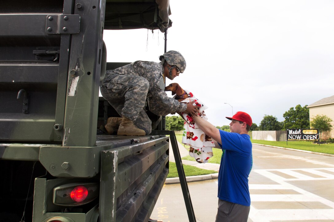 A soldier helps a resident load his dog onto a vehicle during severe flooding in Rosenberg, Texas, June 3, 2016. Texas Army National Guard photo by Staff Sgt. Timothy Pruitt 