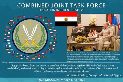 Egypt is part of a Coalition of more than 60 international partners that has united to assist and support the Iraqi Secirity Forces to degrade and defeat Daesh. This unity between Coalition partners has contributed to Iraq's significant progress in halting Daesh's momentum and, in some places, reversing it.