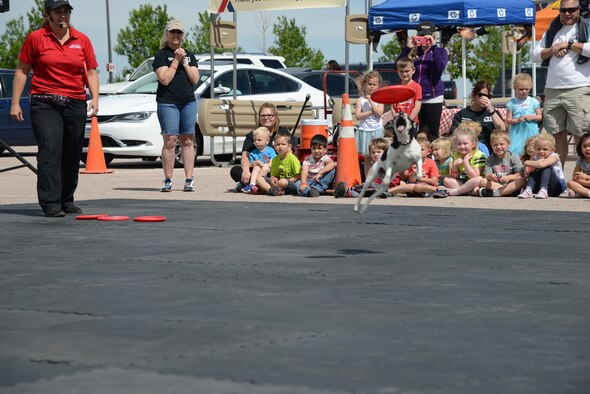 PETERSON AIR FORCE BASE, Colo. – Children from the Peterson Child Development Center, watch the Purina Pro Plan Performance Team show at the Peterson Exchange June 3, 2016. The show was attended by several children from the CDC. (U.S. Air Force photo by Master Sgt. Jared Marquis)