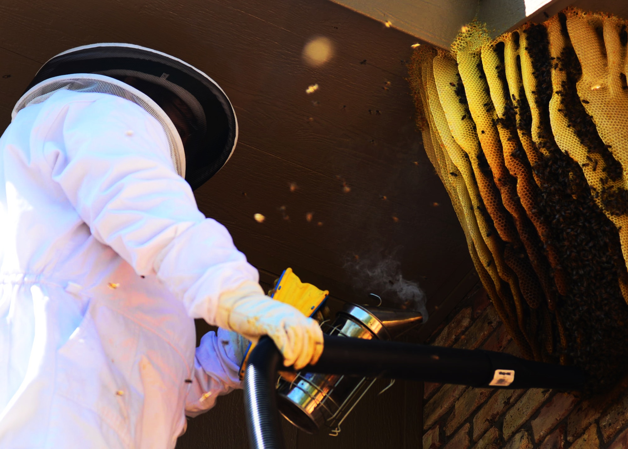 Paul Hopkins, 27th Special Operations Force Support Squadron community center manager, begins to remove a bee hive from a residential area April 30, 2016, in Clovis, N.M. Hopkins personally removes dangerous hives from homes to ensure that the bees are able to survive. (U.S. Air Force photo/Senior Airman Chip Slack)