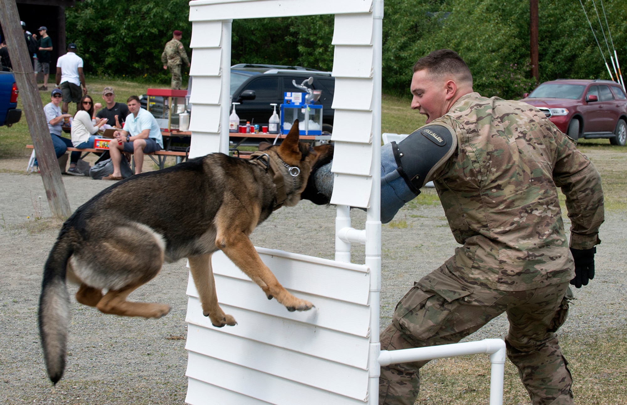 Cpl. Jared Schultz, a dog handler with the 549th Military Working Dog Detachment, demonstrates how a trained dog can take down an assailant in various environments. Military Police from the 549th MWD Detachment showcased their dogs’ capabilities during the 40th Cavalry Regiment, 1st Squadron (Airborne), 25th Infantry Division, 4th Infantry Brigade Combat Team (Airborne) Organization Day at Otter Lake Chalet on June 3.  Representatives from the 549th MWD Detachment executed a variety of commands for their dogs, to include taking down a running offender and how they assist in a traffic stop.  (U.S. Air Force photo by Tech. Sgt. Vernon Cunningham)