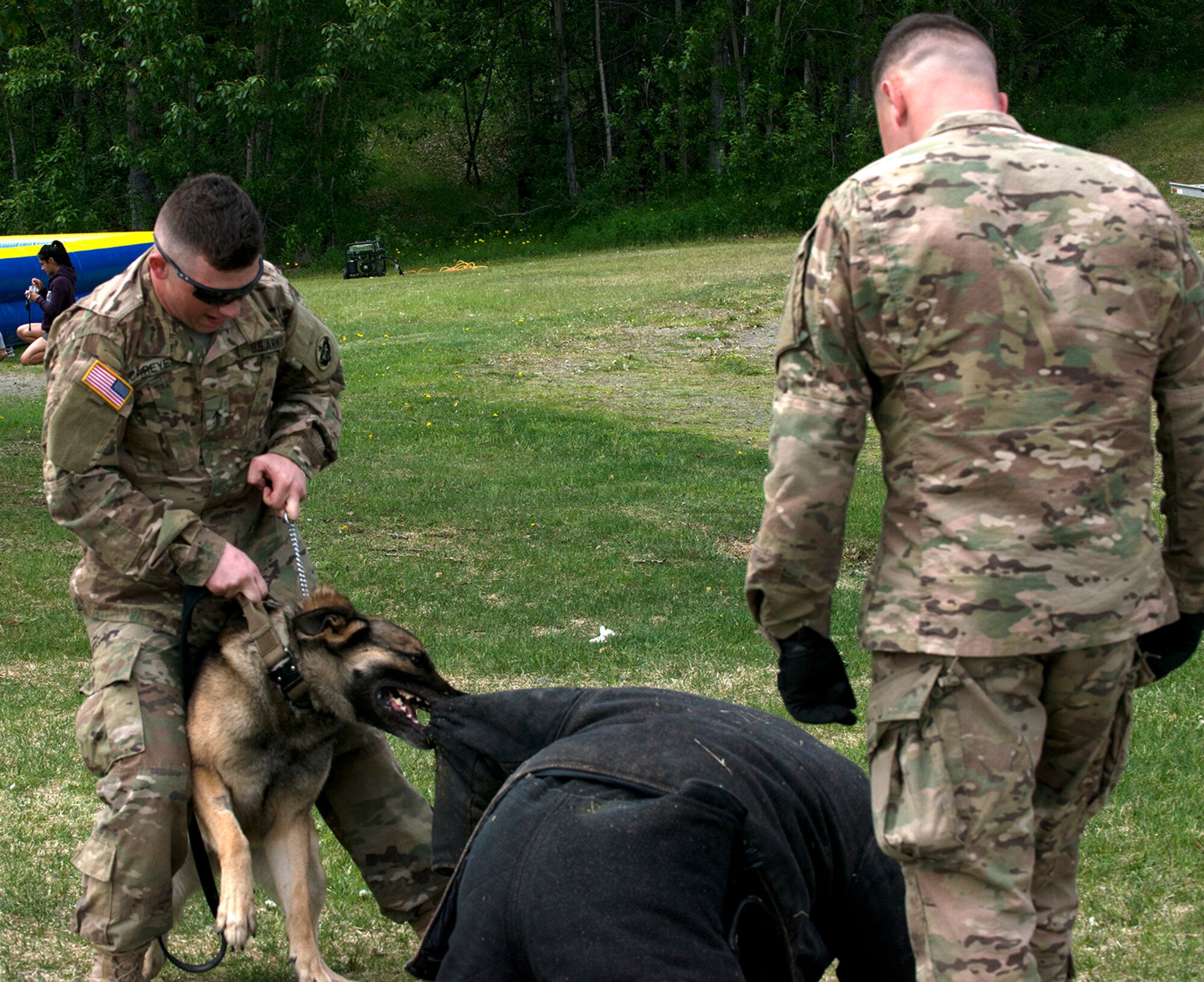 Pvt. Cody Careyette, 549th Military Working Dog Detachment patrol explosive dog handler, removes his working dog from a simulated assailant during a demonstration on how a trained dog can take down an assailant on command.  Military Police from the 549th MWD Detachment showcased their dogs’ capabilities during the 40th Cavalry Regiment, 1st Squadron (Airborne), 25th Infantry Division, 4th Infantry Brigade Combat Team (Airborne) Organization Day at Otter Lake Chalet on June 3.  Representatives from the 549th MWD Detachment executed a variety of commands for their dogs, to include taking down a running offender and how they assist in a traffic stop.  (U.S. Air Force photo by Tech. Sgt. Vernon Cunningham)