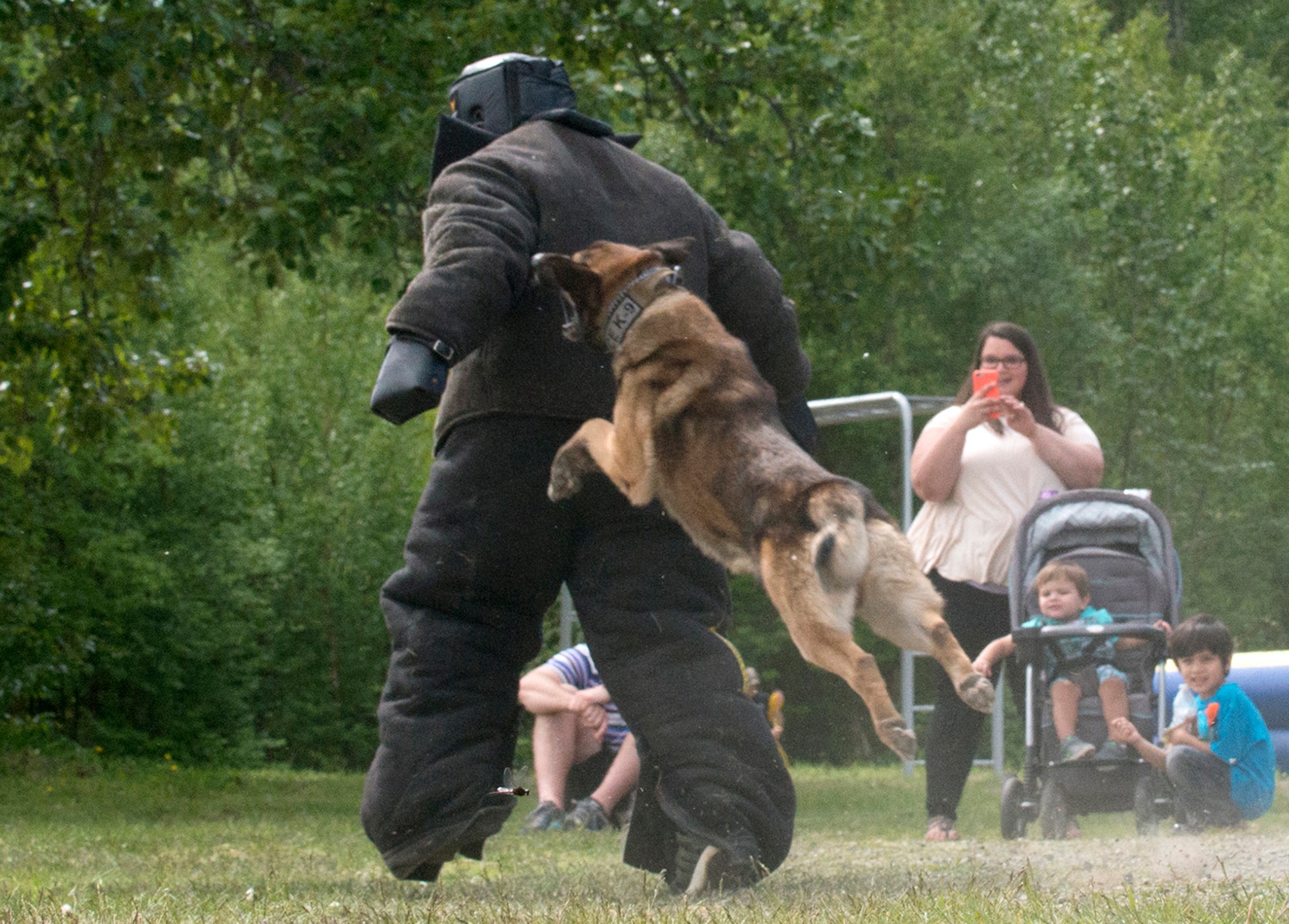 Senior Airman Dallas Jaramillo, 3'd Munitions Squadron support team member, attempts to flee a military working dog during a demonstration on how a trained dog can take down an assailant on command.  Military Police from the 549th MWD Detachment showcased their dogs’ capabilities during the 40th Cavalry Regiment, 1st Squadron (Airborne), 25th Infantry Division, 4th Infantry Brigade Combat Team (Airborne) Organization Day at Otter Lake Chalet on June 3.  Representatives from the 549th MWD Detachment executed a variety of commands for their dogs, to include taking down a running offender and how they assist in a traffic stop.  (U.S. Air Force photo by Tech. Sgt. Vernon Cunningham)