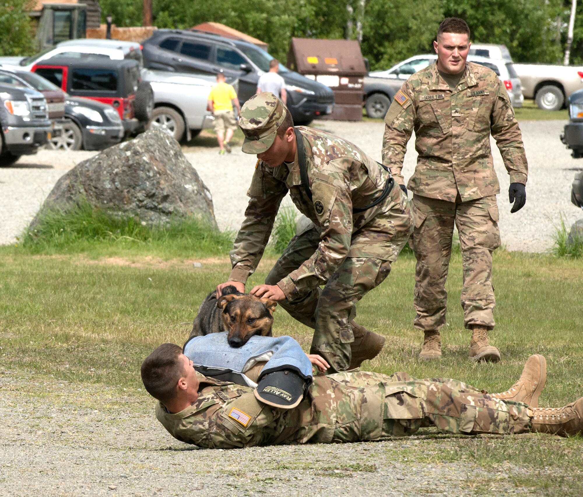 Pfc. Ian Smith, patrol explosive dog handler with the 549th Military Working Dog Detachment, removes his dog from Pfc. Brad Bourne, 549th MWD Detachment patrol narcotic dog handler, during a demonstration on how trained dogs assist during a traffic stop. Military Police from the 549th MWD Detachment showcased their dogs’ capabilities during the 40th Cavalry Regiment, 1st Squadron (Airborne), 25th Infantry Division, 4th Infantry Brigade Combat Team (Airborne) Organization Day at Otter Lake Chalet on June 3. Representatives from the 549th MWD Detachment executed a variety of commands for their dogs, to include taking down a running offender and how they assist in a traffic stop.  (U.S. Air Force photo by Tech. Sgt. Vernon Cunningham)