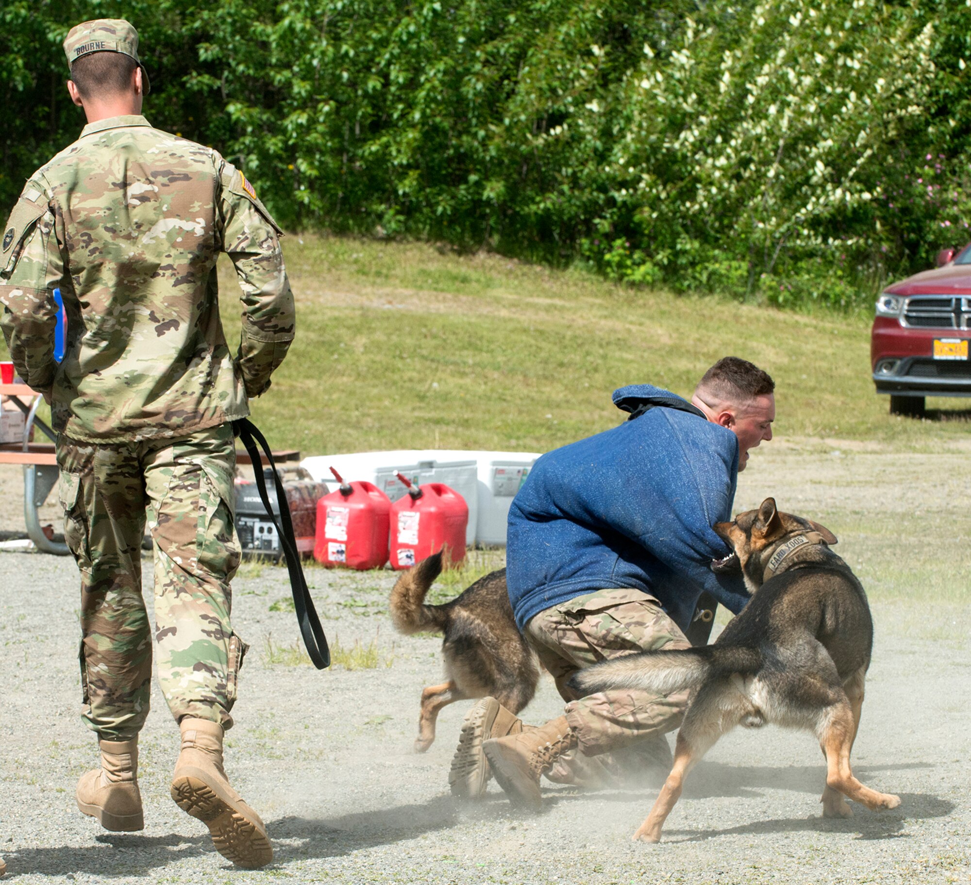 Cpl. Jared Schultz (right), a dog handler with the 549th Military Working Dog Detachment, demonstrates how to trained dogs can take down an assailant on command. Military Police from the 549th MWD Detachment showcased their dogs’ capabilities during the 40th Cavalry Regiment, 1st Squadron (Airborne), 25th Infantry Division, 4th Infantry Brigade Combat Team (Airborne) Organization Day at Otter Lake Chalet on June 3. Representatives from the 549th MWD Detachment executed a variety of commands for their dogs, to include taking down a running offender and how they assist in a traffic stop.  (U.S. Air Force photo by Tech. Sgt. Vernon Cunningham)