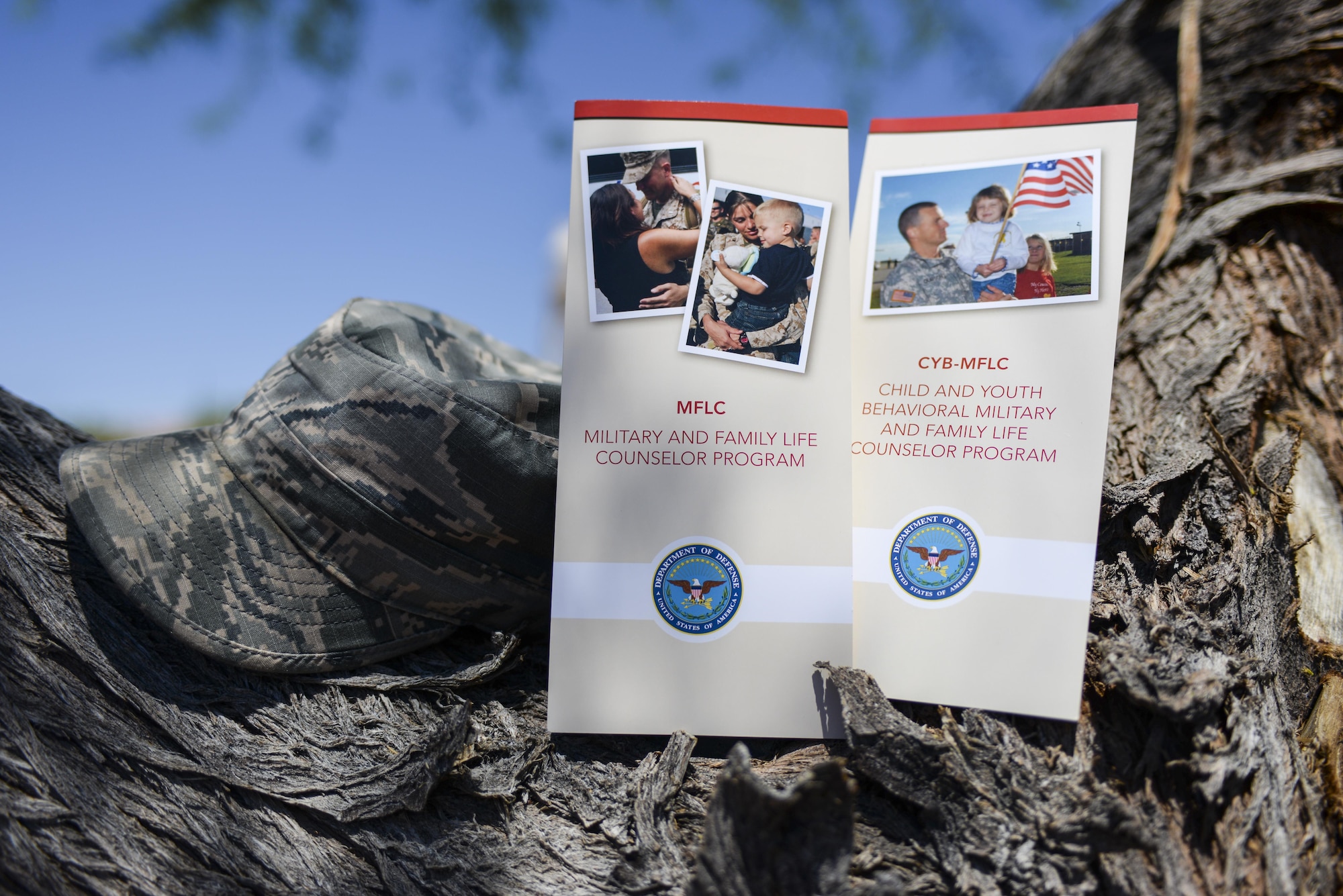 Brochures for the Military and Family Life Counselor Program rest on a tree at Nellis Air Force Base, Nev., June 1, 2016. The MFLC program offers short-term, non-medical counseling at no cost to active-duty service members, National Guard and reserve service members (regardless of activation status) and their families, as well as Department of Defense civilian expeditionary workforce members and their families. (U.S. Air Force photo illustration by Airman 1st Class Nathan Byrnes)