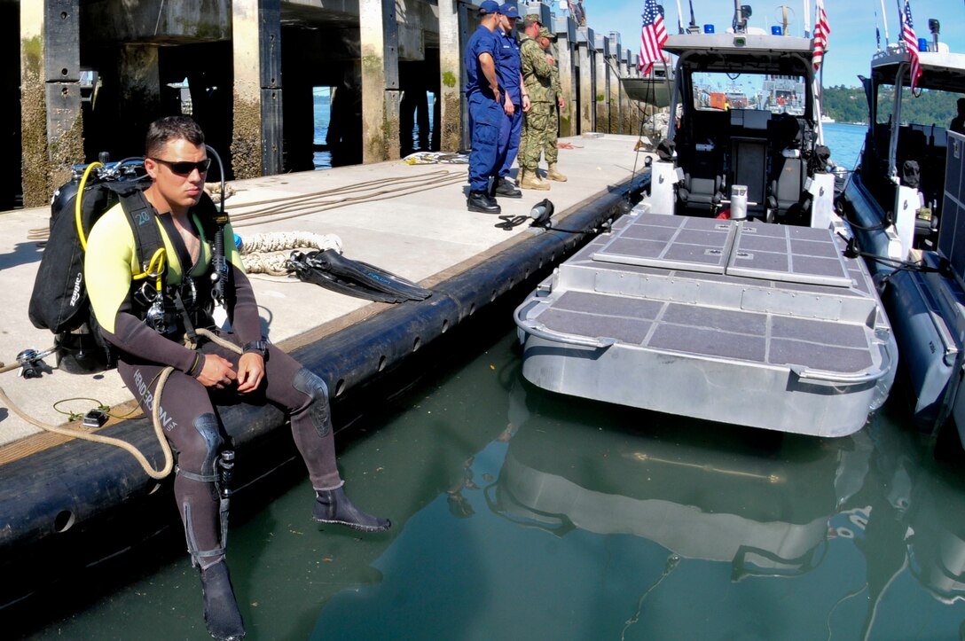 Spc. Michael Singley, a diver with the 569th Engineer Dive Detachment, prepares for an underwater inspection on a small tugboat at the Port of Tacoma, Wash., June 7. Members from the detachment assisted units from Fort Eustis, Va. and the Washington State Army Reserve and National Guard during the Joint Logistics Over the Shore training. The exercise provides the opportunity for units to test the loading and offloading of ships in areas where ports are unavailable or damaged. (U.S. Army photo by Sgt. Eliverto V Larios)