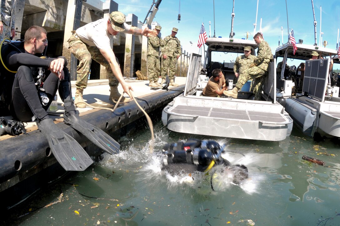 Spc. Michael Sigley, a diver with the 569th Engineer Dive Detachment, plunges into the Port of Tacoma to inspect a small tugboat during the Joint Logistics Over the Shore training, June 7. Members from the detachment assisted units from Fort Eustis, Va. and the Washington State Army Reserve and National Guard during the JLOTS training. The exercise provides the opportunity for units to test the loading and offloading of ships in areas where ports are unavailable or damaged. (U.S. Army photo by Sgt. Eliverto V Larios)