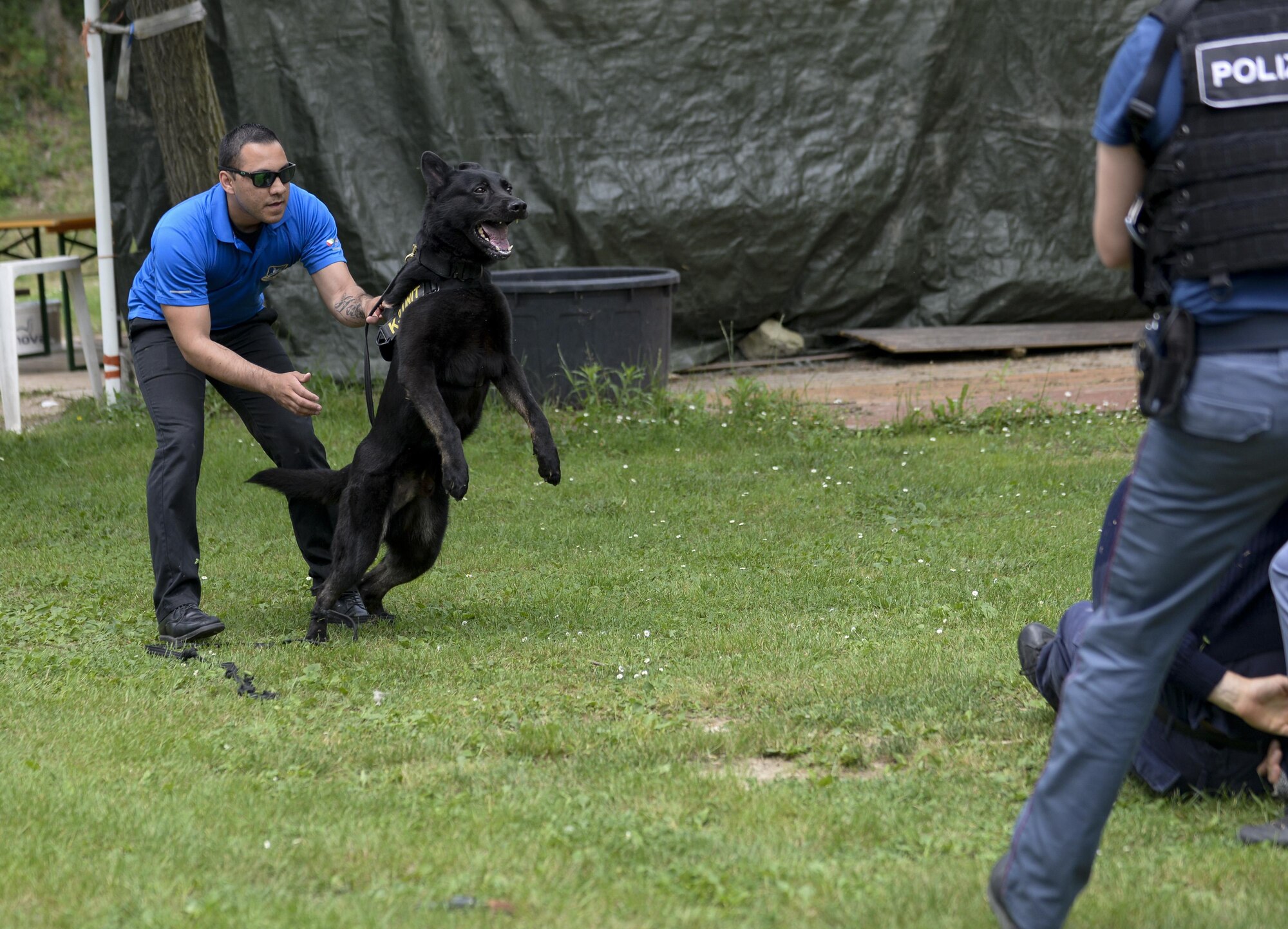 U.S. Air Force Staff Sgt. Alex Lazala, 31st Security Forces Squadron military working dog handler, restrains MWD Dox during a demonstration in Venice, Italy, July 8, 2016. Working dog handlers from the 31st SFS, U.S. Army 525th MWD Detachment and Venezia Polizia Locale gathered during a joint familiarization training to share working dog handling tactics. (U.S. Air Force photo by Senior Airman Krystal Ardrey/Released)