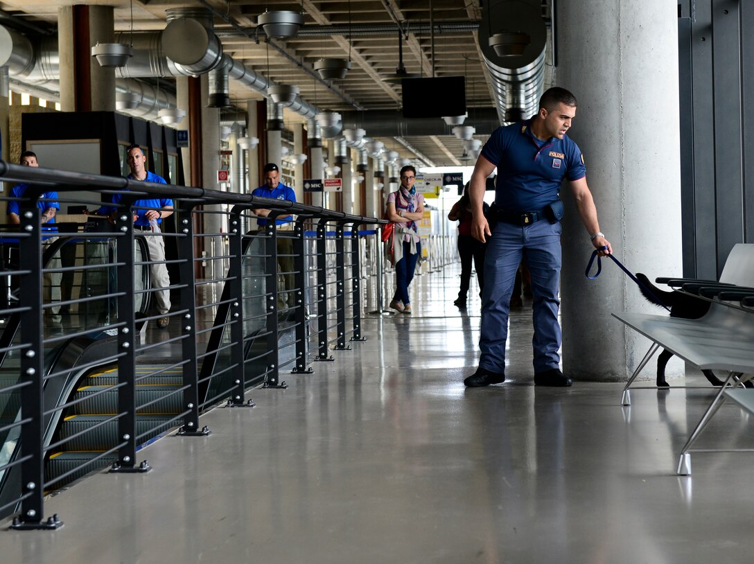 A Venezia Polizia Locale officer and his working dog search for items during a working dog training in Venice, Italy, July 8, 2016. The U.S. Air Force 31st Security Forces Squadron, Venezia Polizia Locale and U.S. Army 525th Military Working Dog Detachment train together as often as possible share best practices and increase interoperability. (U.S. Air Force photo by Senior Airman Krystal Ardrey/Released)