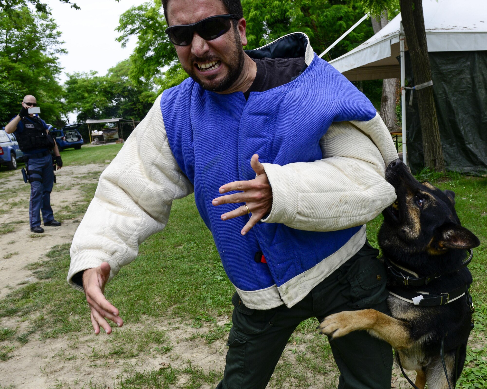 Chief Assistant Nicola Filippo, Venezia Polizia Locale K-9 officer, is subdued by a working dog during a working dog training in Venice, Italy, July 8, 2016. Working dog handlers from the U.S. Air Force 31st Security Forces Squadron, U.S. Army 525th Military Working Dog Detachment and Venezia Polizia Locale gathered for a joint familiarization training to share working dog handling tactics. (U.S. Air Force photo by Senior Airman Krystal Ardrey/Released)