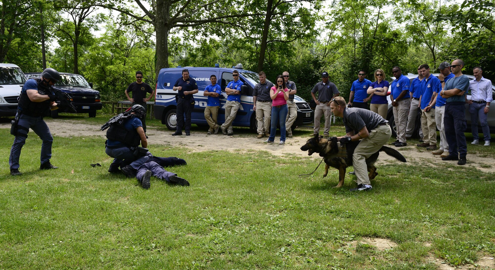 U.S. Air Force, U.S. Army and Venezia Polizia Locale working dog handlers participate in a military working dog demonstration in Venice, Italy, July 8, 2016. Working dog handlers from the 31st SFS, U.S. Army 525th MWD Detachment and Venezia Polizia Locale gathered for a joint familiarization training to share working dog handling tactics. (U.S. Air Force photo by Senior Airman Krystal Ardrey/Released)