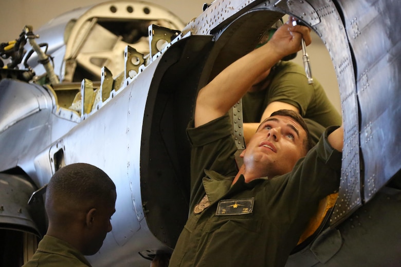 Cpl. Nicholas Stone performs maintenance on a AV-8B Harrier inside the Marine Attack Training Squadron 203 hangar at Marine Corps Air Station Cherry Point, N.C., June 8, 2016. During the past three years, VMAT-203 has trained more than 130 AV-8B pilots and 2,000 AV-8B maintenance personnel. Within that time period, the squadron has flown over 12,000 flight hours, participated in four deployments for instructor and student training and received the Commandant's Aviation Efficiency Award. Stone is a fixed wing aircraft airframe mechanic with the Squadron. (U.S. Marine Corps photo by Cpl. N.W. Huertas/ Released)