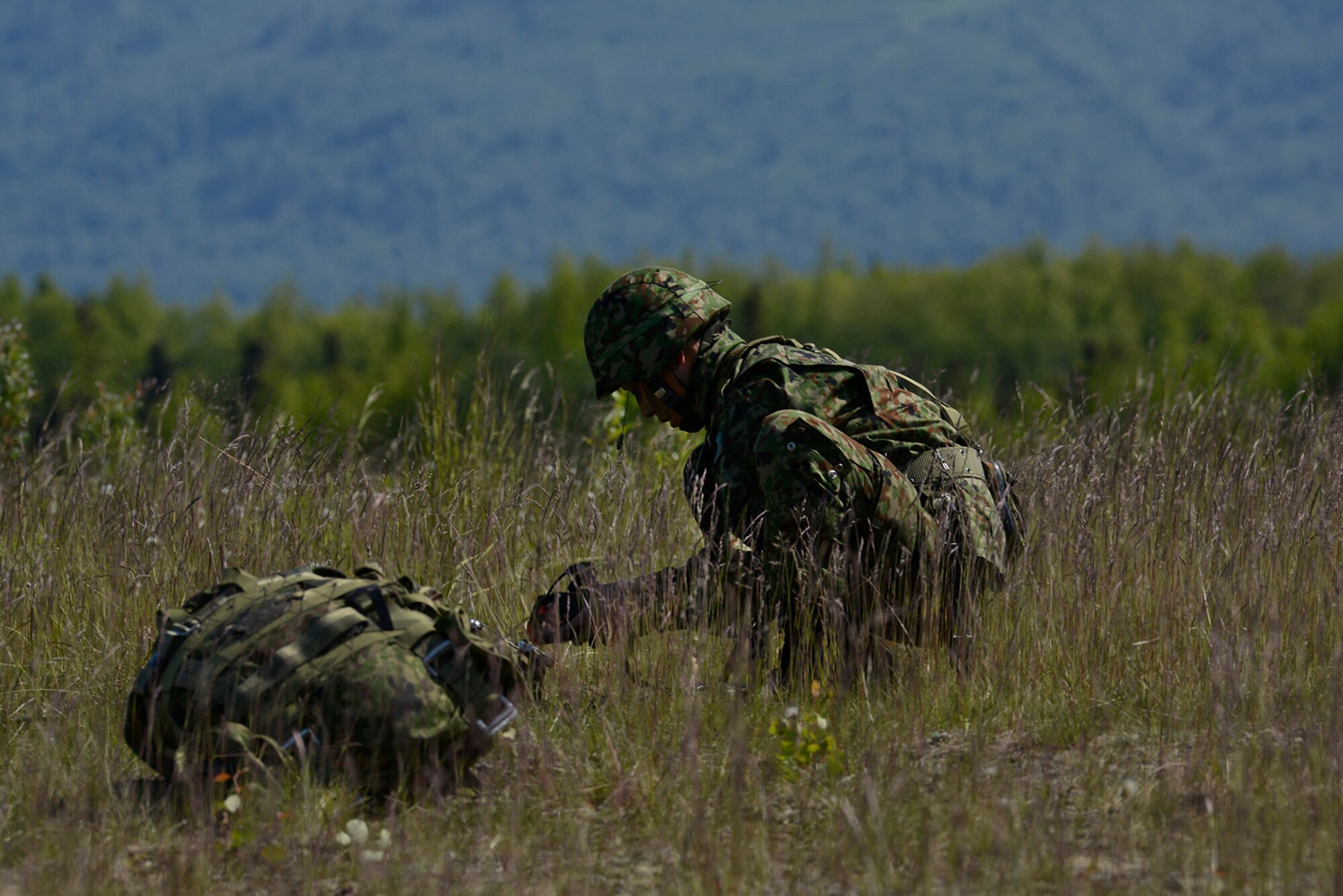 Paratroopers assigned to the 4th Infantry Brigade Combat Team (Airborne), 25th Infantry Division, U.S. Army Alaska, and the Japan Ground Self-Defense Force execute an airborne proficiency operation, and coordination for follow-on training at Joint Base Elmendorf-Richardson, Alaska, June 9, 2016, during Exercise Arctic Aurora. Arctic Aurora is a yearly bilateral training exercise involving elements of the Spartan Brigade and the JGSDF, which focuses on strengthening ties between the two by executing combined small unit airborne proficiency operations and basic small arms marksmanship. (U.S. Air Force photo by Airman 1st Class Valerie Monroy)