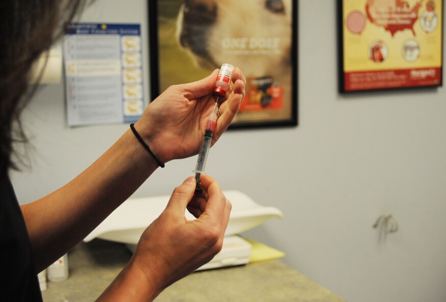 Elizabeth Duncan, a veterinary technician, prepares a series of shots for a patient at the base veterinary clinic, June 7, 2016. The clinic performs a variety of services including parasite testing, vaccinations, routine dental procedures and minor surgeries. (U.S. Air Force photo/Airman Alexis C. Frost)