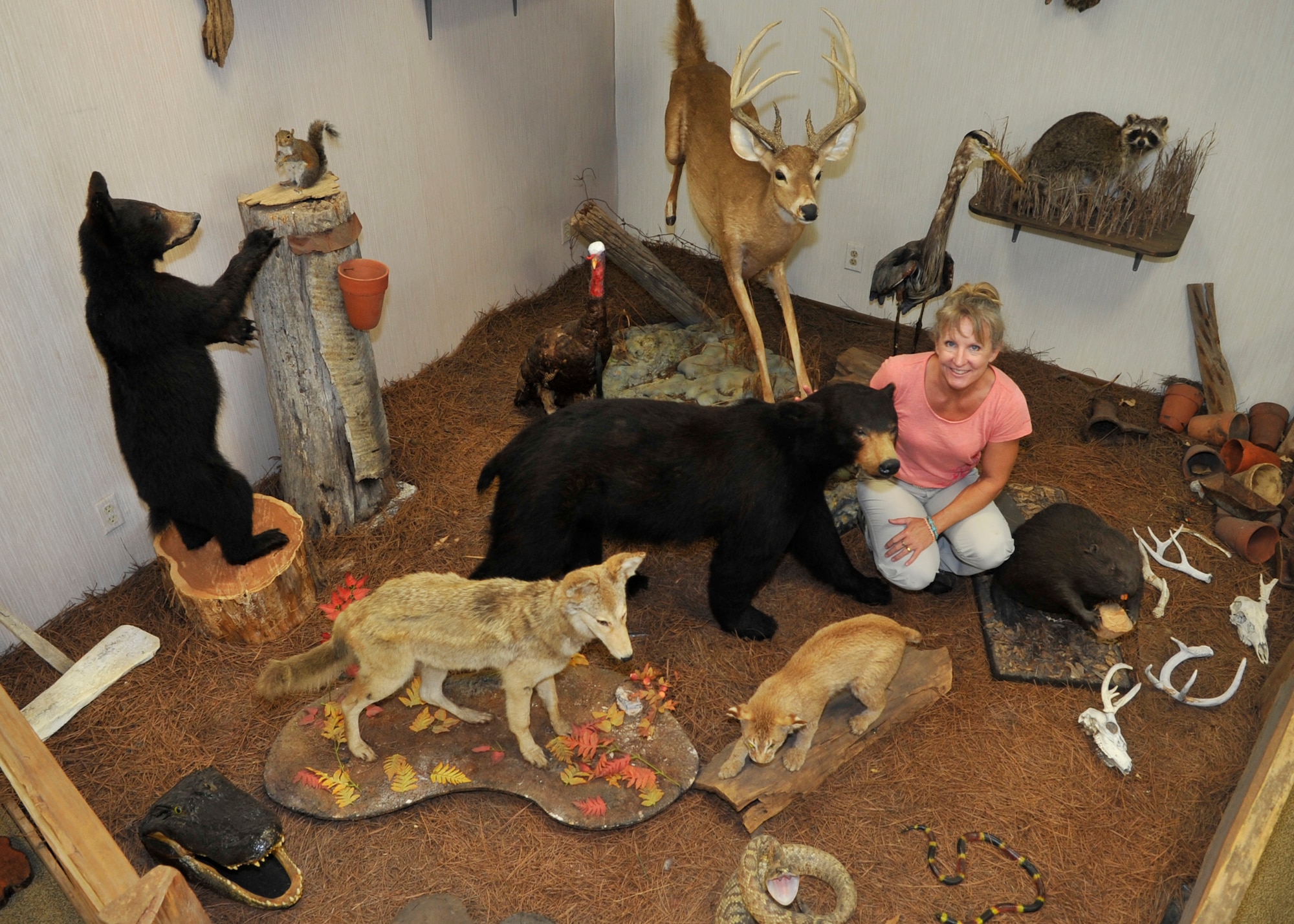 Beckie Johnson, assigned to the 325th Civil Engineer Squadron Natural Resources, poses for a photo with different species of wildlif found at Tyndall Air Force Base, Fla., June 10, 2016, at the Natural Resources office.  Natural Resources is comprised of three sections and six team members that oversee natural resources at Tyndall AFB. (U.S. Air Force photo by Senior Airman Sergio A. Gamboa/Released)