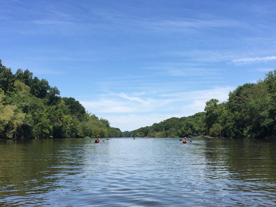 In North Carolina, the Cape Fear River serves people and wildlife, making its water quality and water quantity of the utmost importance. The Cape Fear River Basin contains many different aquatic ecosystems but urban and agricultural runoff affect the river as a valuable water resource. U.S. Army Corps of Engineers' projects, which include B. Everett Jordan Lake, three locks and dams, and dredging operations provide water supply, flood control, water quality, navigation, recreation, and fish and wildlife conservation. (Courtesy photo)