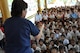 Minh Huong, the lead for the East Meets West - Dental non-governmental organization based in Vietnam, stands in front of the crowd of approximately 187 children explaining how to brush their teeth properly using a large set of fake teeth and an oversized toothbrush June 15, 2016, in Kampot Province, Cambodia. Approximately 187 children from Angchhum Trapeang Chhouk School in Kampot Province, Cambodia, took a morning field trip to Pacific Angel 16-2’s health services outreach location in order to receive oral hygiene education and fluoride treatments. Pacific Angel is designed to promote interoperability with partner nations, while providing needed services to people throughout the Indo-Asia-Pacific region. The mission being conducted in Kampot Province includes general health, dental, optometry, pediatrics, physical therapy and engineering programs as well as various subject-matter expert exchanges. (U.S. Air Force photo by Capt. Susan Harrington/Released)