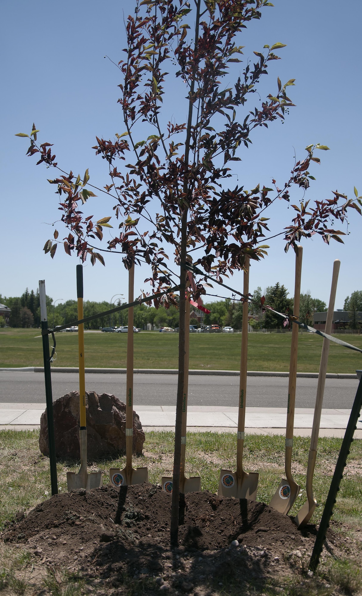 Members of the base community, in conjunction with Balfour Beatty Communities, planted a tree north of the base medical treatment facility on F.E. Warren Air Force Base, Wyo., June 16, 2016, in celebration of Arbor Day. The base has held an event in honor of Arbor Day for the past 28 years, the 6th longest streak in Wyoming. (U.S. Air Force photo by Senior Airman Brandon Valle)