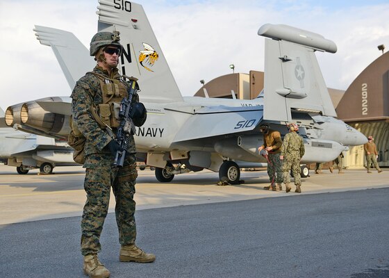 A Marine from Fleet Antiterrorism Security Team Pacific (FASTPAC) stands watch for Electronic Attack Squadron (VAQ) 138 at Kunsan Air Base in the Republic of Korea. VAQ-138 is in Kunsan participating in Max Thunder, an exercise that integrates U.S. and Republic of Korea forces to train for air-to-air and air-to-ground missions to ensure mutual understanding and cooperation between the two nations. (U.S. Navy photo by Mass Communication Specialist 1st Class Frank L. Andrews/Released)