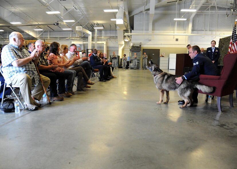Ferra, 319th Security Forces Squadron military working dog, acknowledges the crowd’s applause during her retirement ceremony June 14, 2016, on Grand Forks Air Force Base, N.D. Ferra spent nearly 10 years serving in the U. S. Air Force. (U.S. Air Force photo by Senior Airman Ryan Sparks/Released)