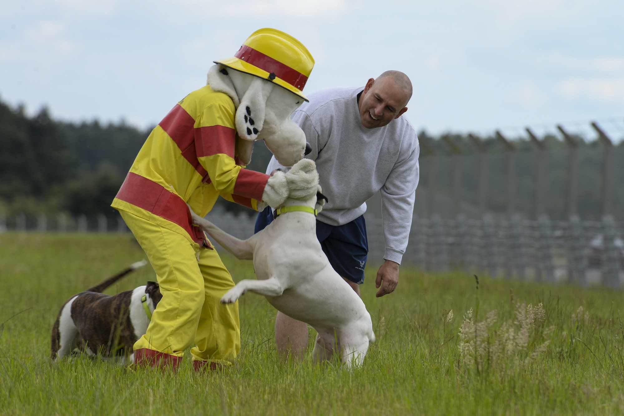 Sparky the Fire Dog and U.S. Air Force Master Sgt. Matthew Deel, 100th Civil Engineer Squadron facility superintendent, play with his dogs after the opening of the new dog park June 16, 2016, on RAF Mildenhall, England. The park enables Airmen and their families to exercise and play with their dogs in a safe environment on base. (U.S. Air Force photo by Staff Sgt. Micaiah Anthony/Released)