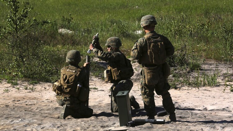 Baltic Operations 16 allowed for 17 NATO allies and partner nations to build combined maritime warfighting capabilities in the Baltic Sea region. Approximately 200 U.S. Marines conducted combat enhancement and foreign integration training as part of an exercise in the Baltics, June 6-8, 2016.