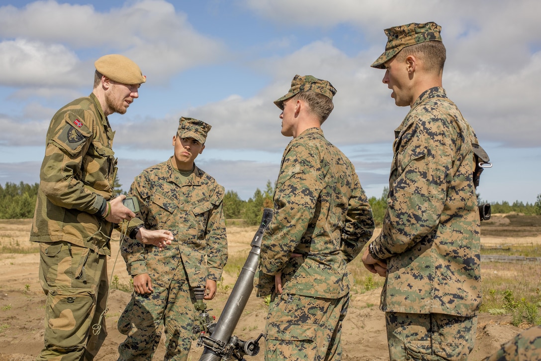 Multinational force standards allow NATO troops to apply firepower at the precise moment needed at Adazi Military Base, Latvia, June 18, 2016. Exercise Saber Strike 16 was an exercise with more than 10,000 service members from the U.S. and 12 NATO partner nations. 
