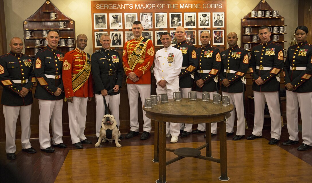 Commander, Marine Forces Reserve Lt. Gen Rex C. McMillian (fourth from left); Sergeant Major, Marine Forces Reserve, SgtMaj Patrick Kimble (second from left); and Command Master Chief, Marine Forces Reserve Master Chief Petty Officer Christopher Kotz (center) pose with: "The President's Own" U.S. Marine Band Drum Major Master Sgt. Duane King (fifth from left); "The Commandant's Own" U.S. Marine Corps Drum & Bugle Corps Drum Major Master Gunnery Sgt. Kevin Buckles (third from left); Cpl. Chesty XIV, mascot of Marine Barracks Washington; and staff from Marine Barracks Washington (from right) 1st Sgt. Patricia Trotter; 1st Sgt. Michael Brown; 1st Sgt. Jimmy Richard; 1st Sgt. Julian Lumm; Sergeant Major, Marine Barracks Washington Sgt. Maj. Joseph Gray; and Gunnery Sgt. Robert Husman (far left) following an Evening Parade at Marine Barracks, Washington, D.C., ("8th & I"), June 3, 2016. 


