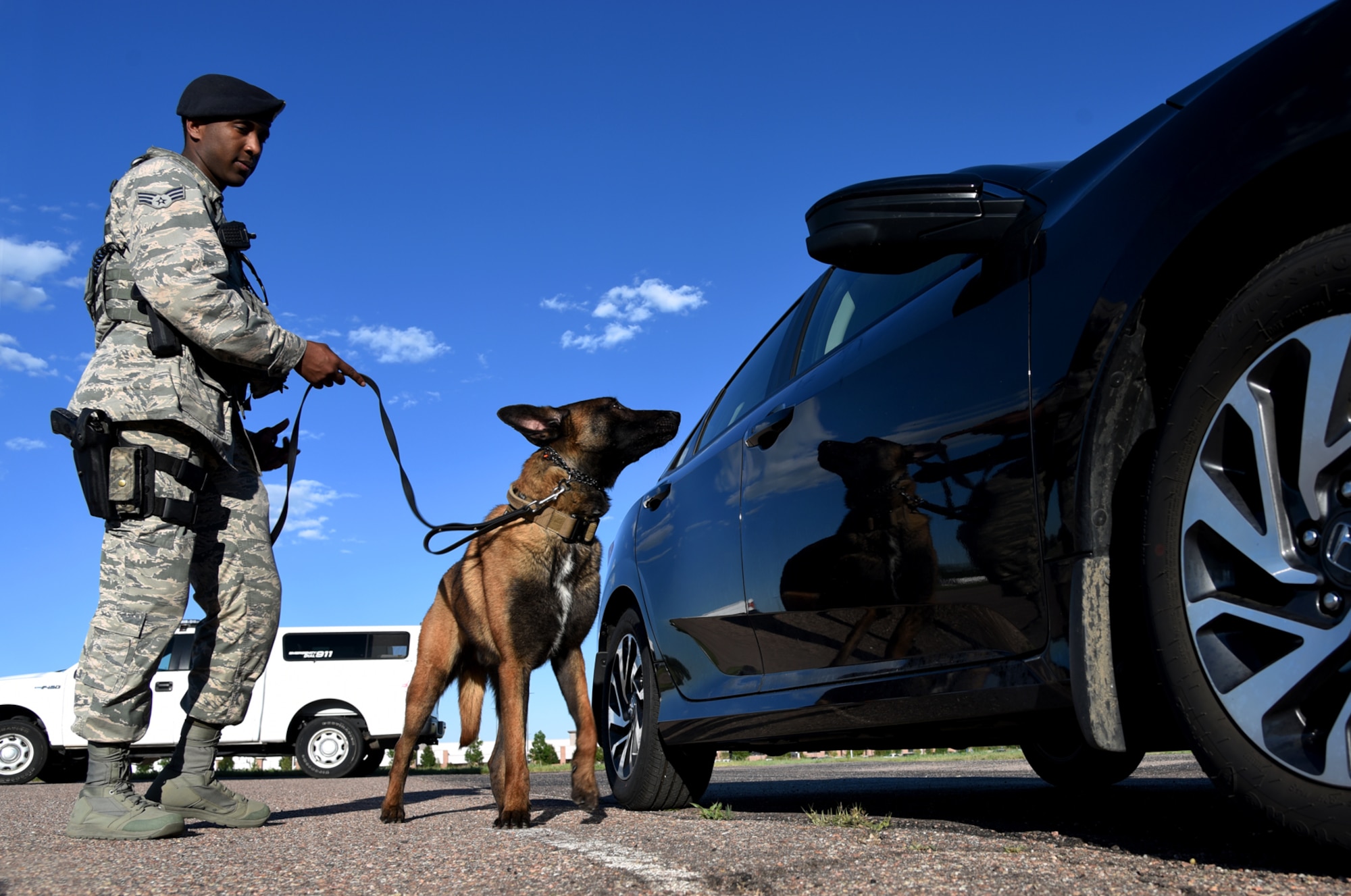 Senior Airman Tariq Russell, 21st Security Forces Squadron military working dog handler, and his partner, Ppaul, inspect a car at Peterson Air Force Base, Colo., June 14, 2016. Russell pays close attention to Ppaul waiting for a sign he has detected something suspicious. (U.S. Air Force photo by Airman 1st Class Dennis Hoffman)