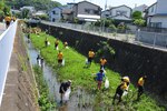 ZUSHI, Japan (June 18, 2016) About 200 Navy personnel
from more than 16 commands teamed up with local Japanese residents to clean-up the Tagoe River in Zushi, Japan. Participants removed 50 gallons of trash from the river, which has an abundance of tall grass filled with natural wildlife.  (U.S. Navy photo by Mass Communication Specialist 2nd Class Indra Bosko)

