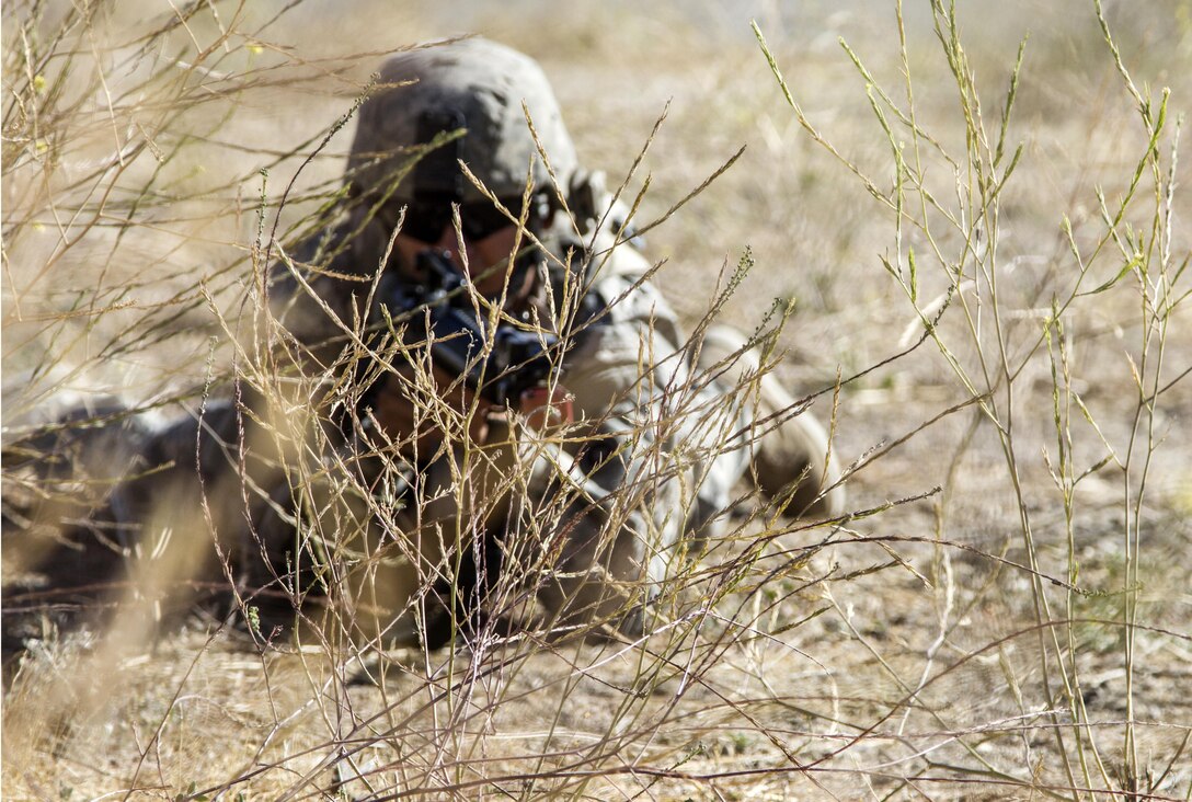 A U.S. Army Reserve Soldier, 1017th Quartermaster Company, Camp Pendleton, Calif.,prepares to react to enemy fire during a tactical scenario as part of Combat Support TrainingExercise 91-16-02, Fort Hunter Liggett, Calif., June 17, 2016. As the largest U.S. Army Reservetraining exercise, CSTX 91-16-02 provides Soldiers with unique opportunities to sharpen theirtechnical and tactical skills in combat-like conditions. (U.S. Army photo by Sgt. Krista L.Rayford, 367th Mobile Public Affairs Detachment)