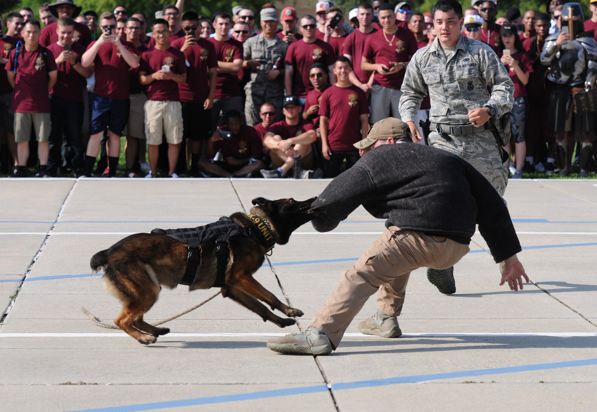 Members of the 81st Security Forces Squadron conduct a military working dog demonstration during the 81st Training Group drill down at the Levitow Training Support Facility drill pad June 17, 2016, Keesler Air Force Base, Miss. The 335th Training Squadron “Bulls” placed first overall. (U.S. Air Force photo by Kemberly Groue)