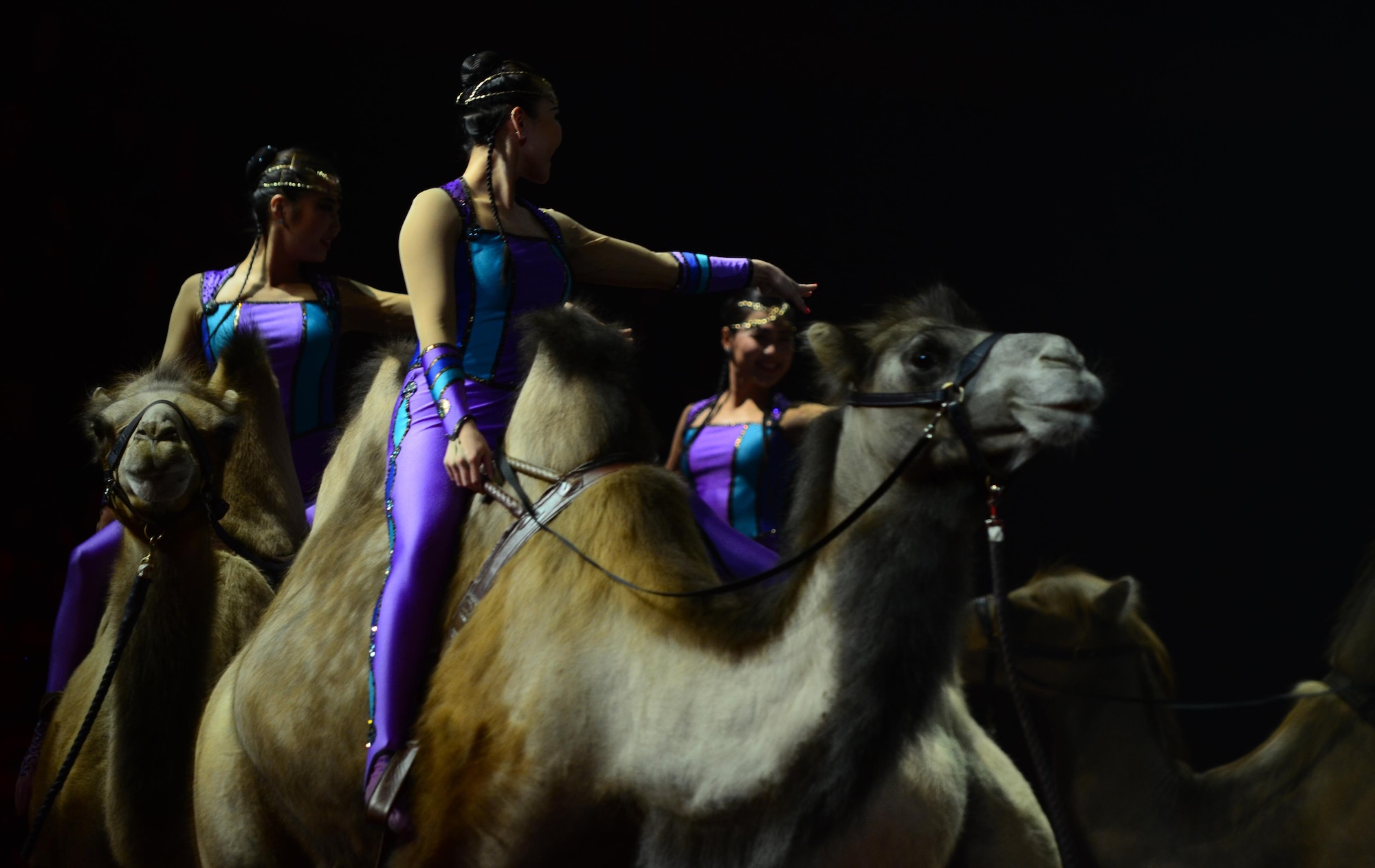 COLORADO SPRINGS, Colo. - The Dessert Dancers, of Ringling Bros. and Barnum & Baily Circus, ride out on their troupe of camels at a special military performance at the Broadmoor World Arena on June 11, 2016.  The show offered tickets for free to military members and their families throughout the Colorado Springs area. (U.S. Air Force photo by Staff Sgt. Amber Grimm)