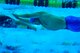 Retired Senior Airman Lucky Lor competes in the swimming finals at the 2016 Department of Defense Warrior Games at the U.S. Military Academy in West Point, N.Y., June 20, 2016. The Warrior Games took place from June 15-21, and is an adaptive sports competition for wounded, ill and injured service members and veterans. (U.S. Air Force photo/Staff Sgt. Carlin Leslie)